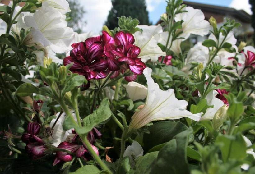 Отель Garni Angerer