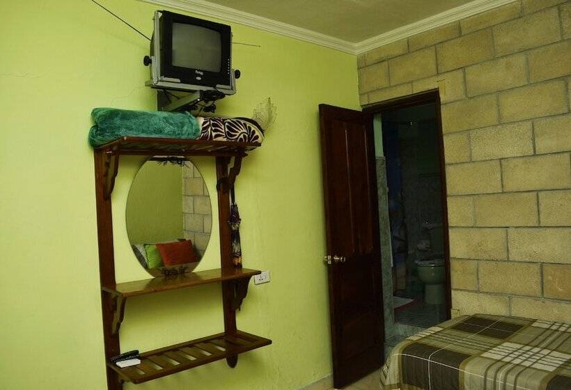 تختخواب و صبحانه Hostal Maggy