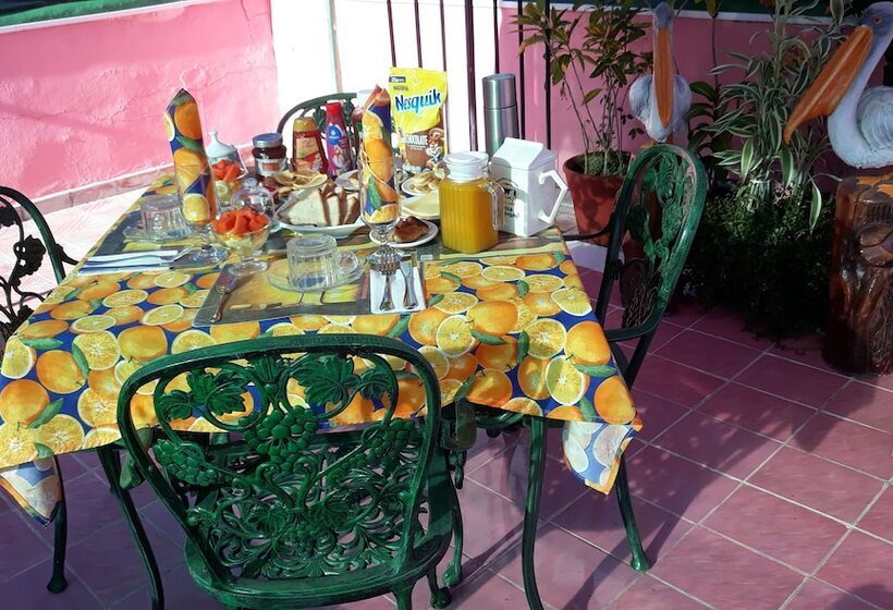 تختخواب و صبحانه Hostal Maggy