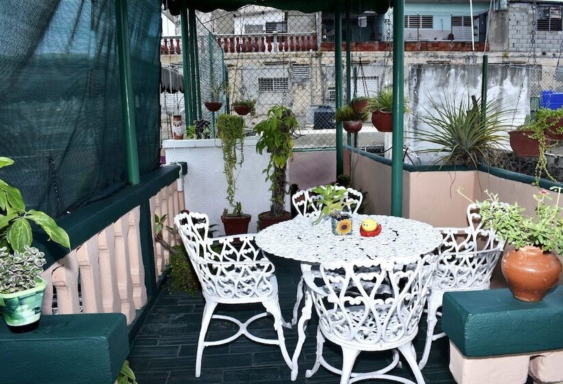 تختخواب و صبحانه Hostal Maggy