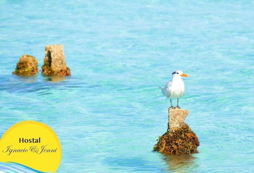 Hostal Ignacio & Jenni