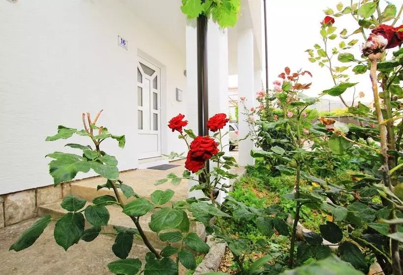 هتل Apartment Anica