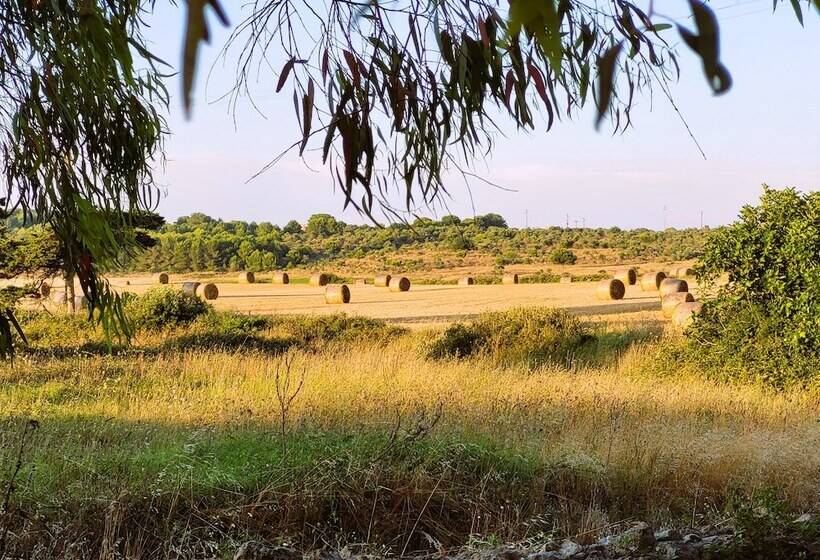 فندق ريفى Agriturismo Scalelle