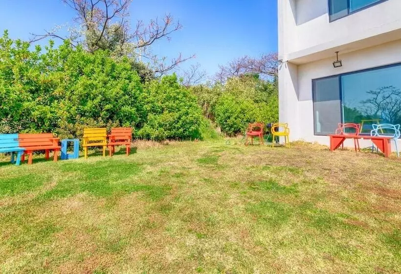 Jeju Damongchae Pension