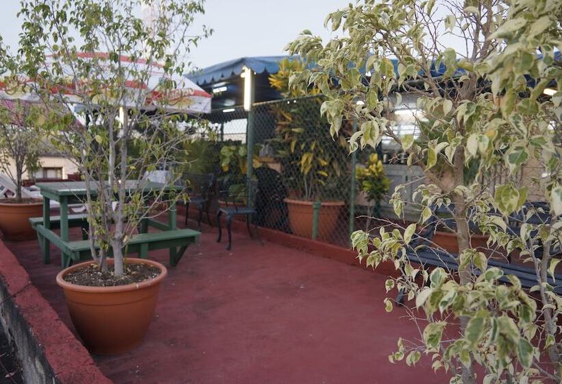 پانسیون Amigos De Barcelo