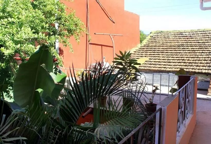 ペンション Hostal Alvarez Trinidad