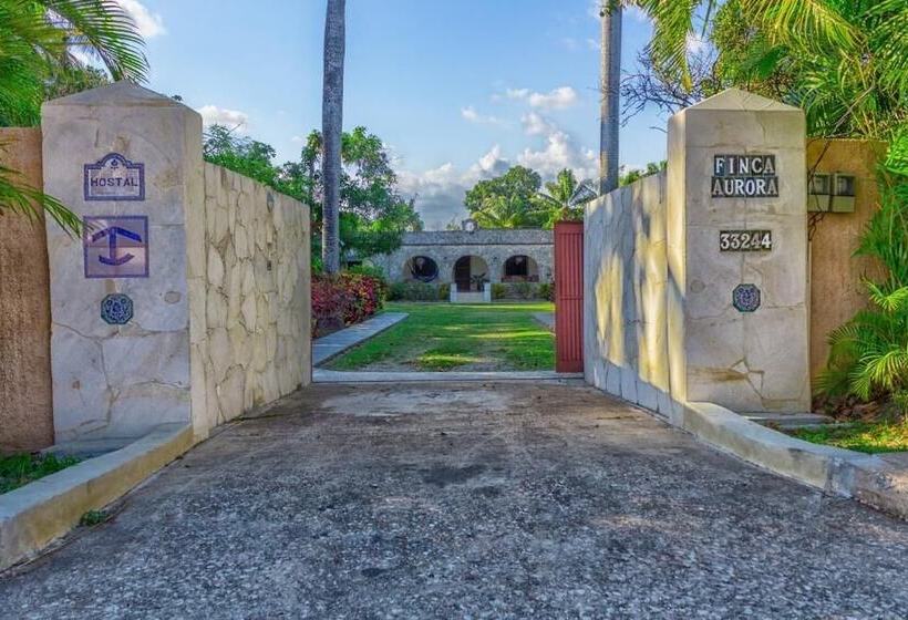 پانسیون Hostal Finca Aurora