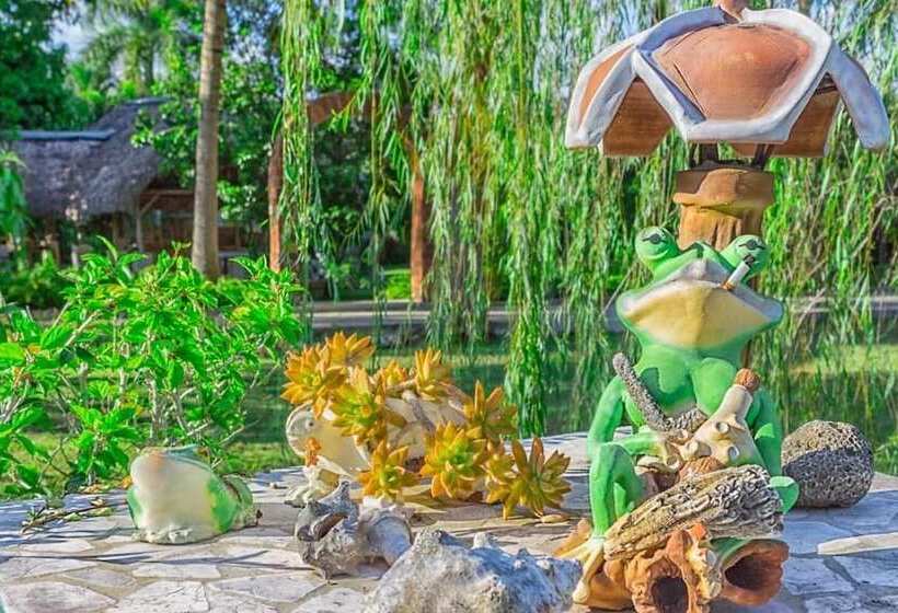 پانسیون Hostal Finca Aurora