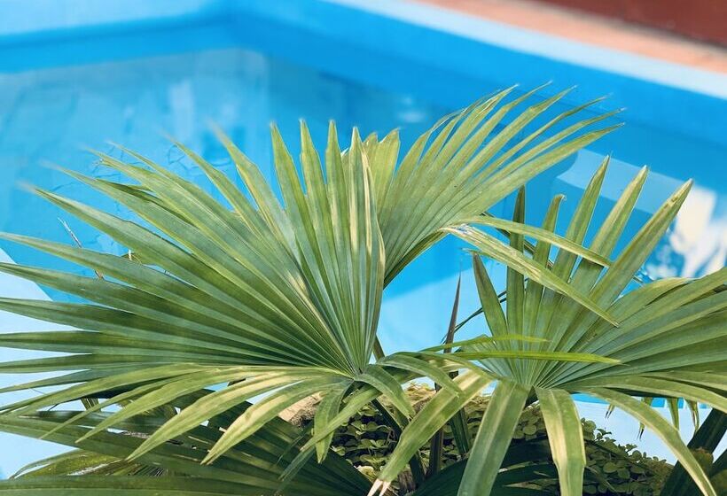 پانسیون Hostal La Casona Holguin