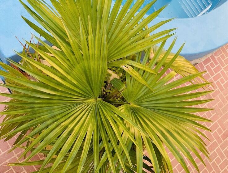 پانسیون Hostal La Casona Holguin