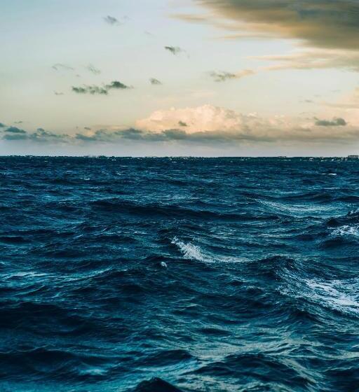 Pensão Room In Guest Room Fly In Viareggio Beach In Front Of The Famous Promenade With Shops And Establis