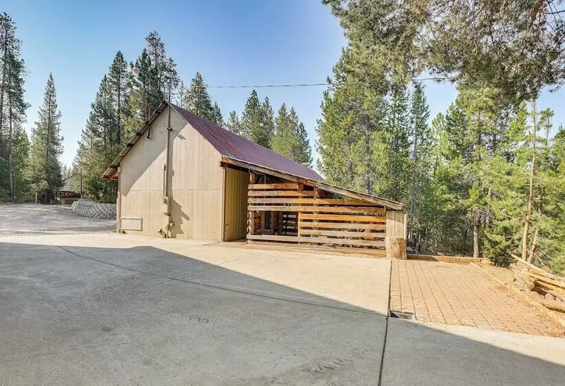 Woodsy Cabin Retreat ~ 4 Mi To Crescent Lake!