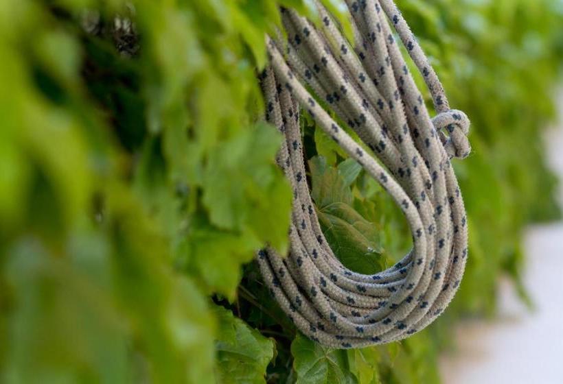 تختخواب و صبحانه La Locanda Del Barbablù