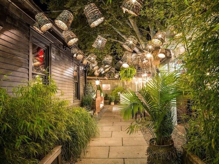 בית מלון כפרי American Beech