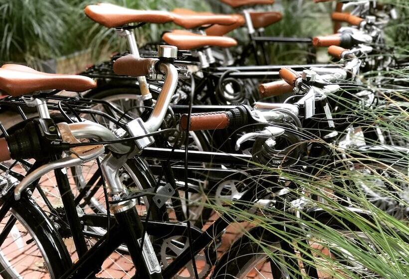 בית מלון כפרי American Beech