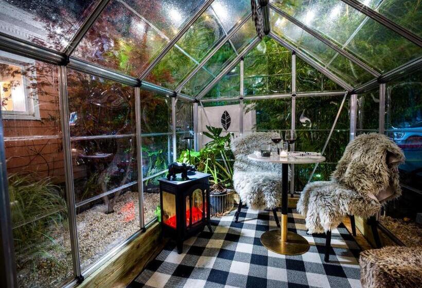 בית מלון כפרי American Beech