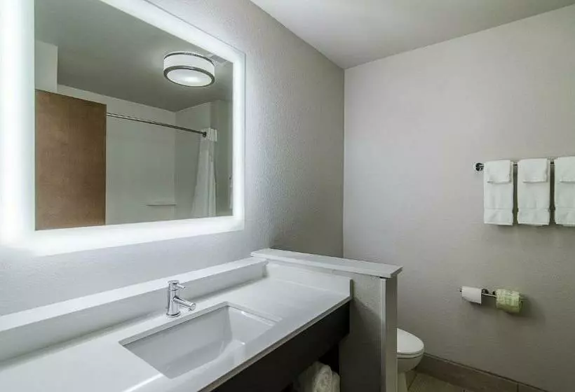 ホテル Holiday Inn Express & Suites Atchison, An Ihg