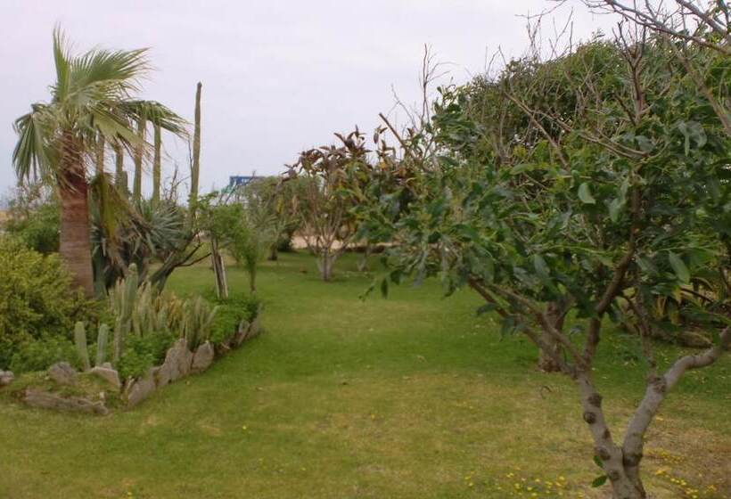 Отель Hostal Restaurante La Ilusión