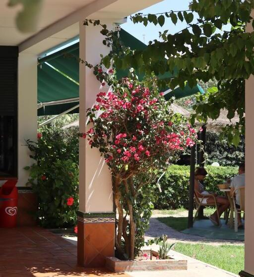 Отель Hostal Restaurante La Ilusión