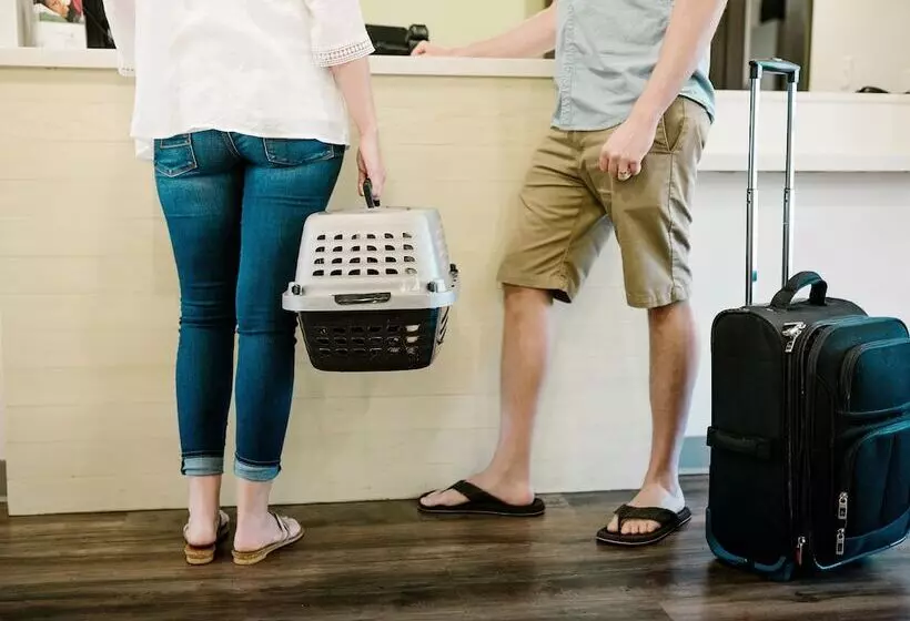 ホテル Woodspring Suites Bakersfield East
