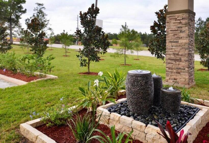 モーテル Scottish Inn & Suites   Conroe