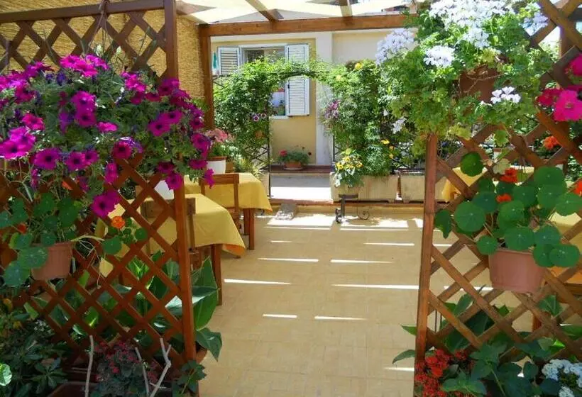 Ansise B&b