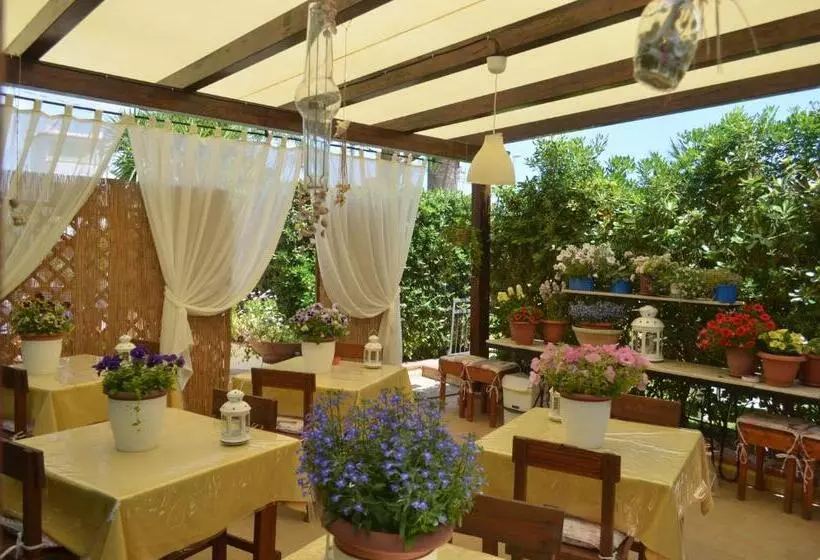 Ansise B&b