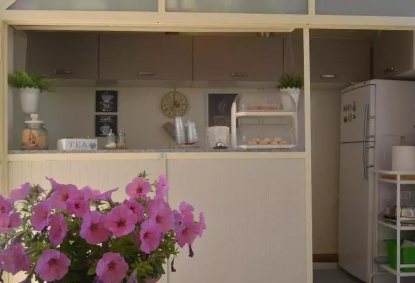 Ansise B&b