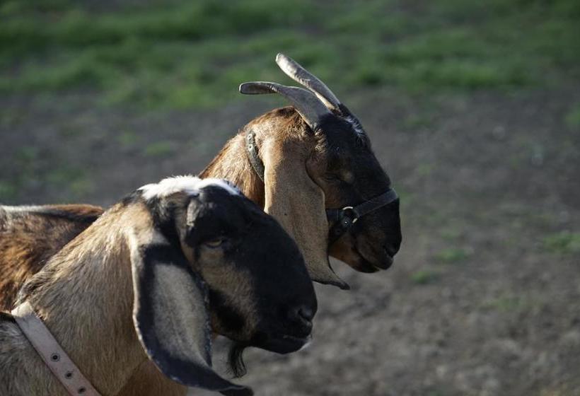 민박 Bnb Whangaruru