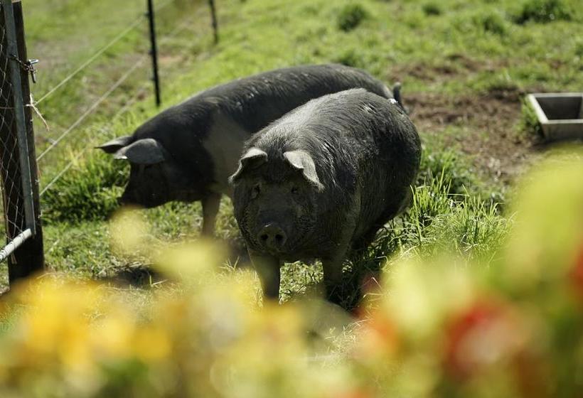 민박 Bnb Whangaruru