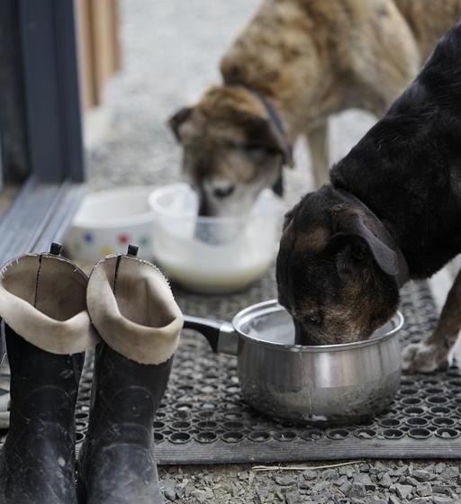 민박 Bnb Whangaruru