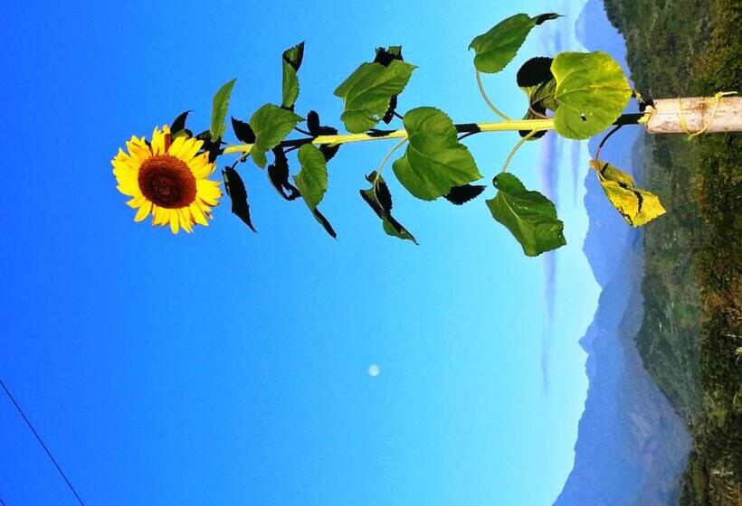 צימר Coliving La Boira