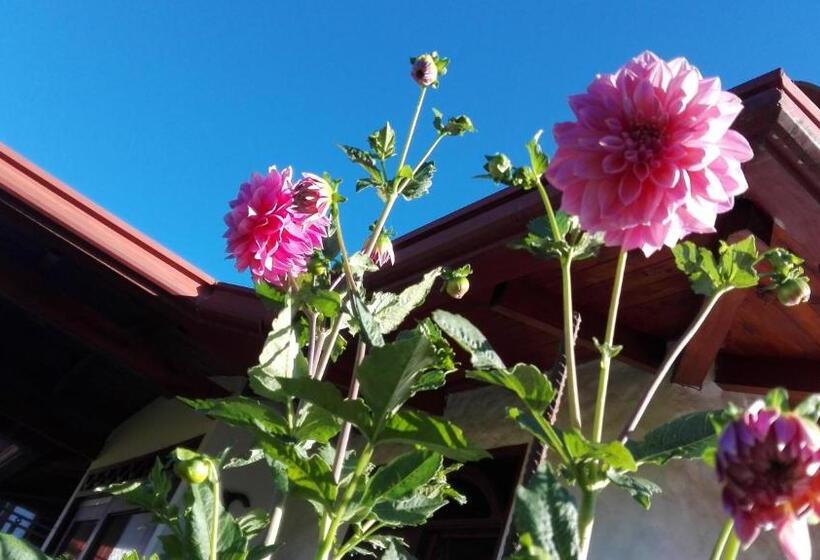 צימר Coliving La Boira