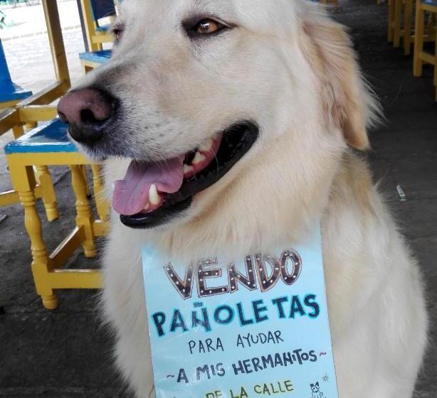 צימר Coliving La Boira