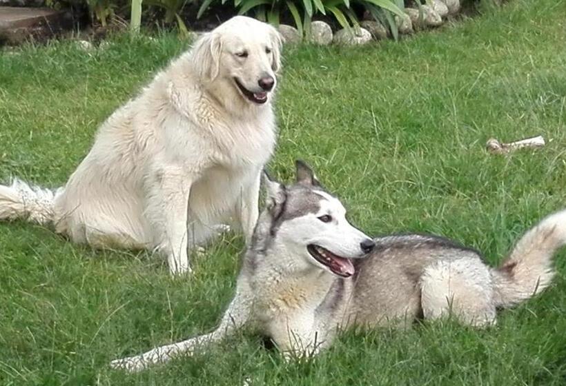 צימר Coliving La Boira