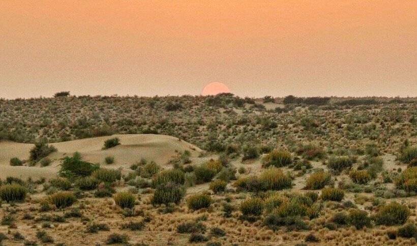 Classic Thar Resort Camp