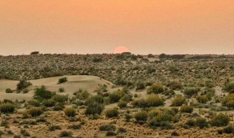 Classic Thar Resort Camp