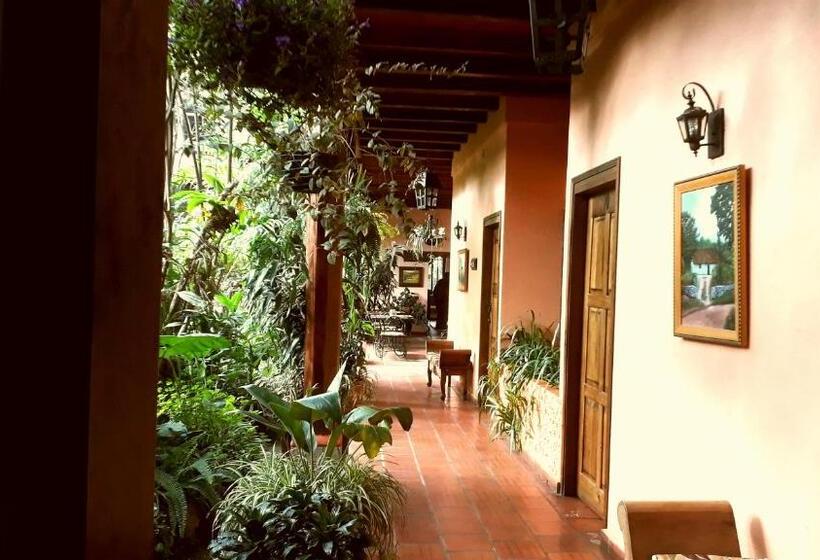 هتل Posada Papa Chepe