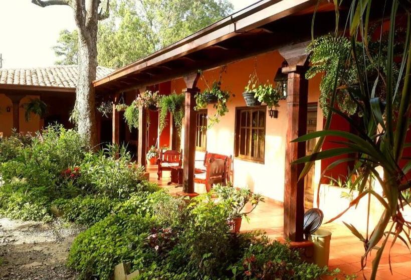 هتل Posada Papa Chepe