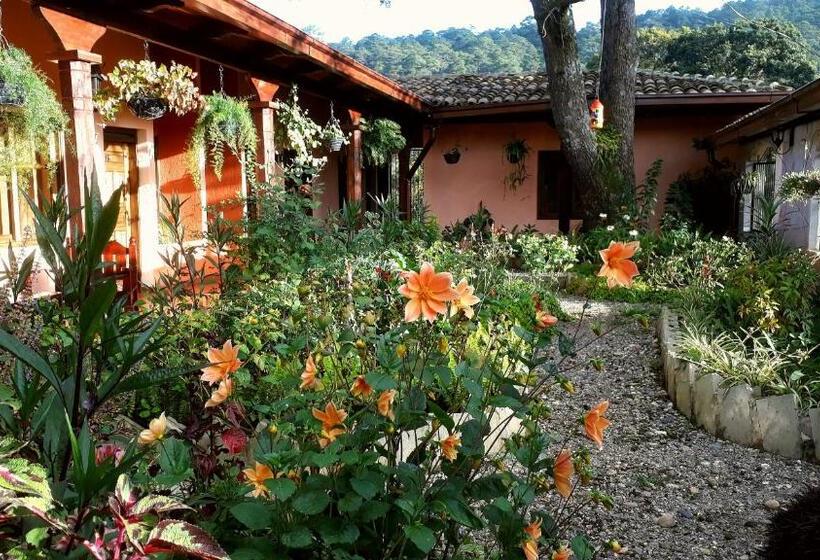 هتل Posada Papa Chepe