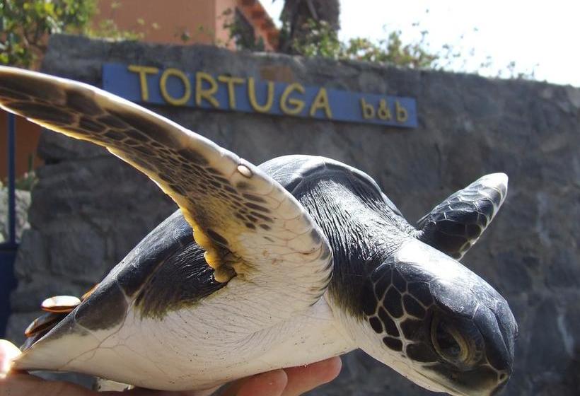 Tortuga B&b
