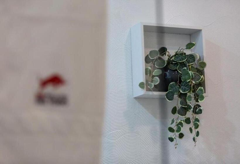 B&b Palazzo Del Toro