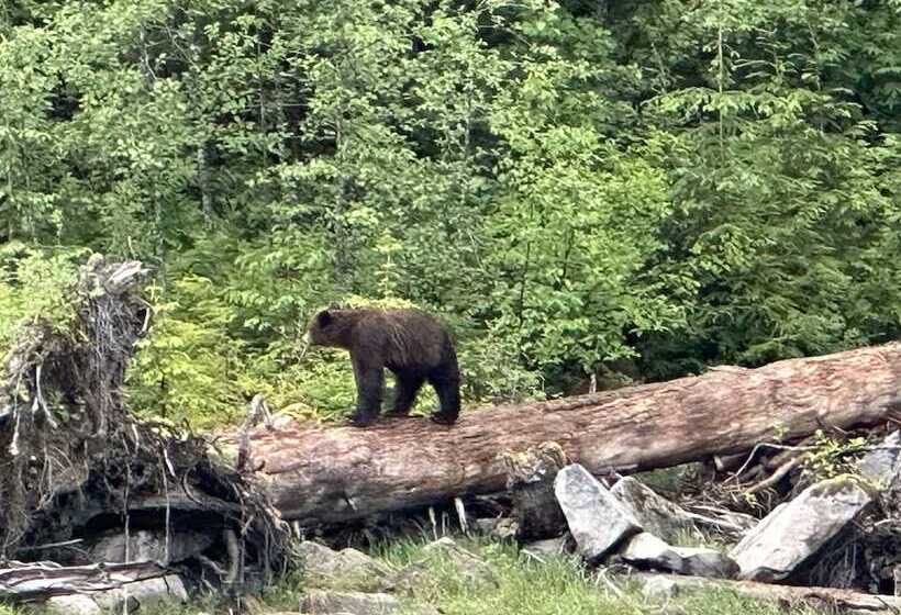 Bed & Breakfast Guesthouse Austria