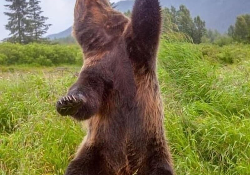 Bed & Breakfast Guesthouse Austria