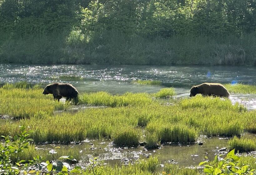 Bed & Breakfast Guesthouse Austria