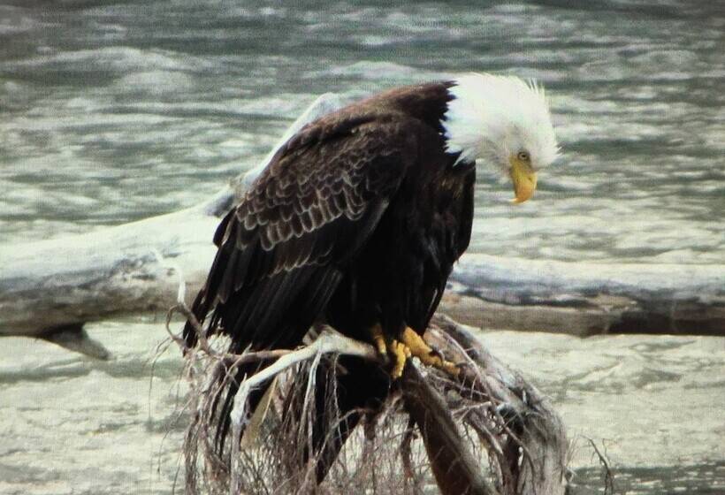 Bed & Breakfast Guesthouse Austria