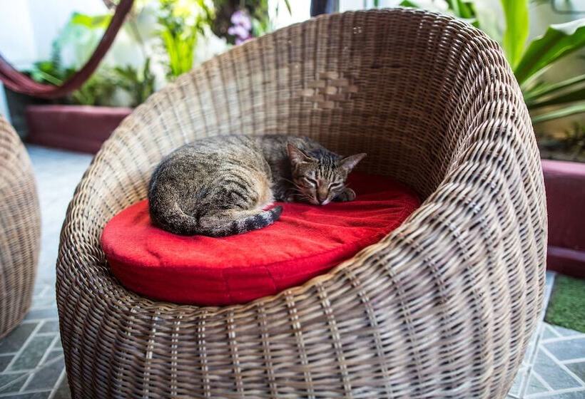 Hotelli Bulskamp Inn