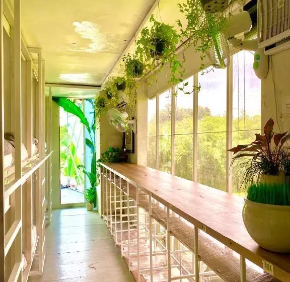 The Hide Hostel At Canggu