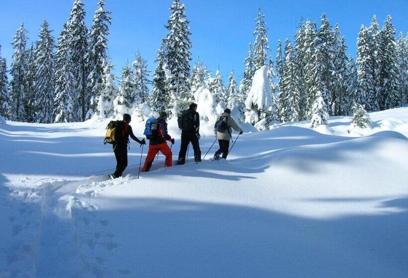 Wanderhotel Grüner Baum