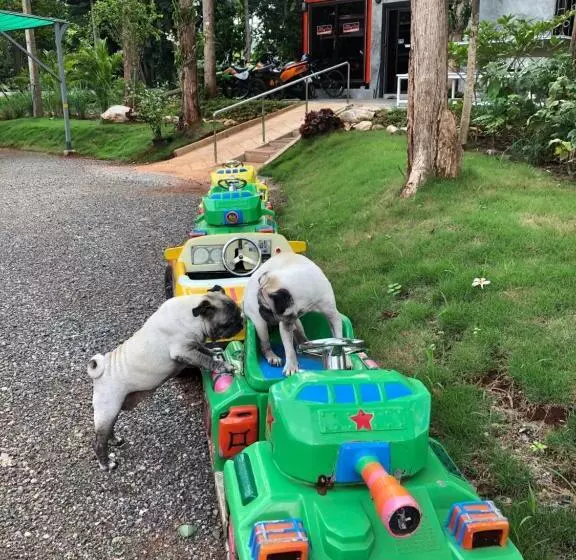 ユースホステル หนึ่งหกแปดconnerแอดเขาใหญ่